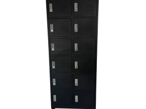LOCKER DE 12 ESPACIOS L-12N